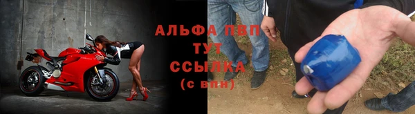 стафф Саяногорск