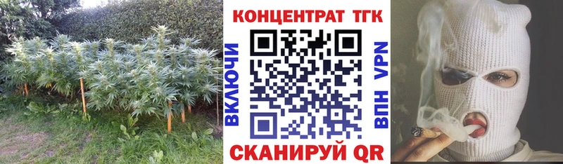 как найти закладки  Гаджиево  ТГК вейп с тгк 